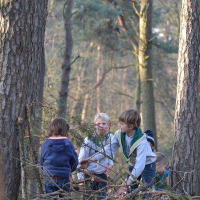 kinderen sprokkelen hout in het bos