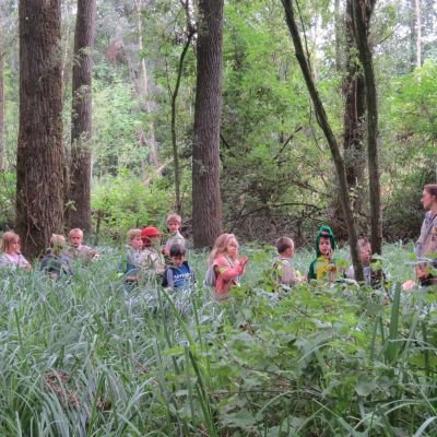 kinderen die in een bos staan met hoog gras