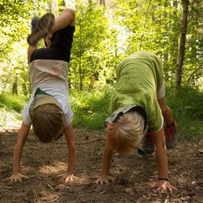 Kinderen doen handenstand in het bos