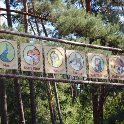 Jungledieren