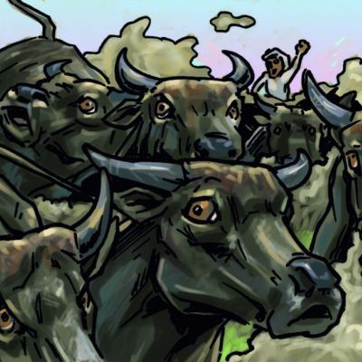 Arne van Der Ree Illustratie uit boek Jungle-avonturen van Shanti en Mowgli