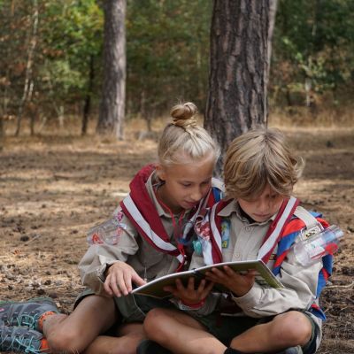 Twee welpen kijken in een publicatie