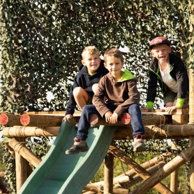 Drie kapoenen zitten op een gesjorde toren