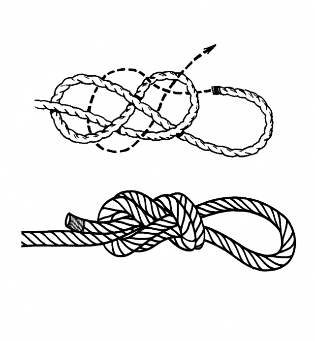 tekening dubbele achtknoop