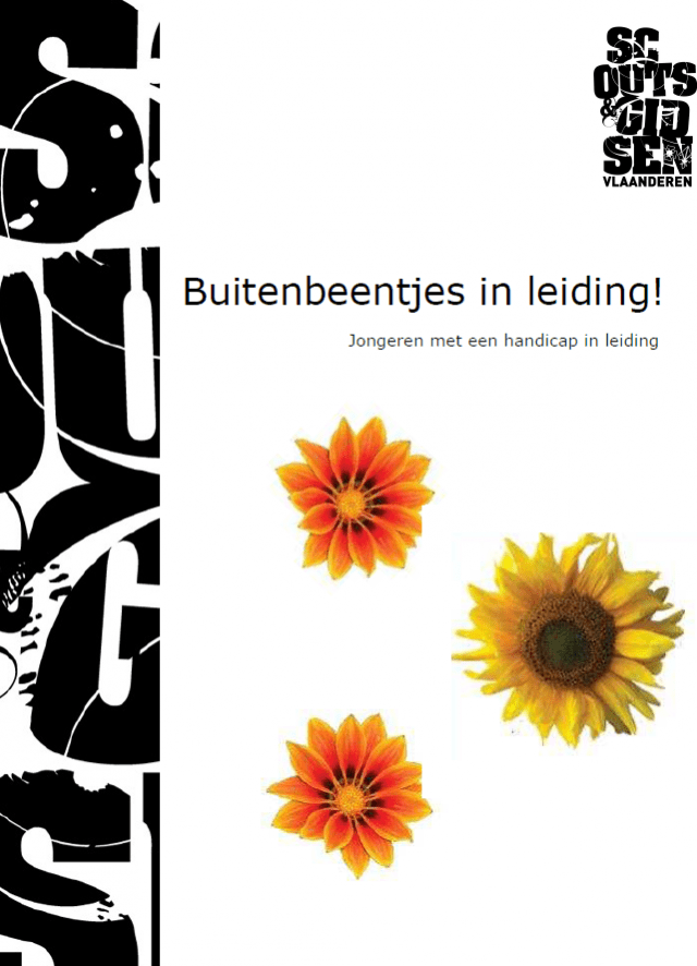 cover van de publicatie buitenbeentjes in leiding