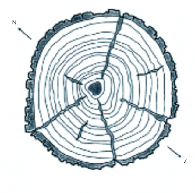 groeimethode