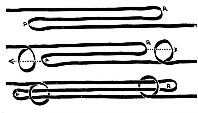 stappenplan touwverkortingssteek