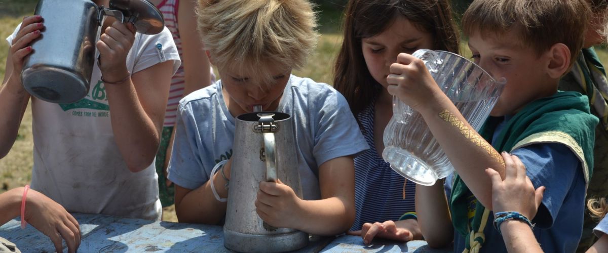 kapoenen drinken rechtsreeks uit waterkannen