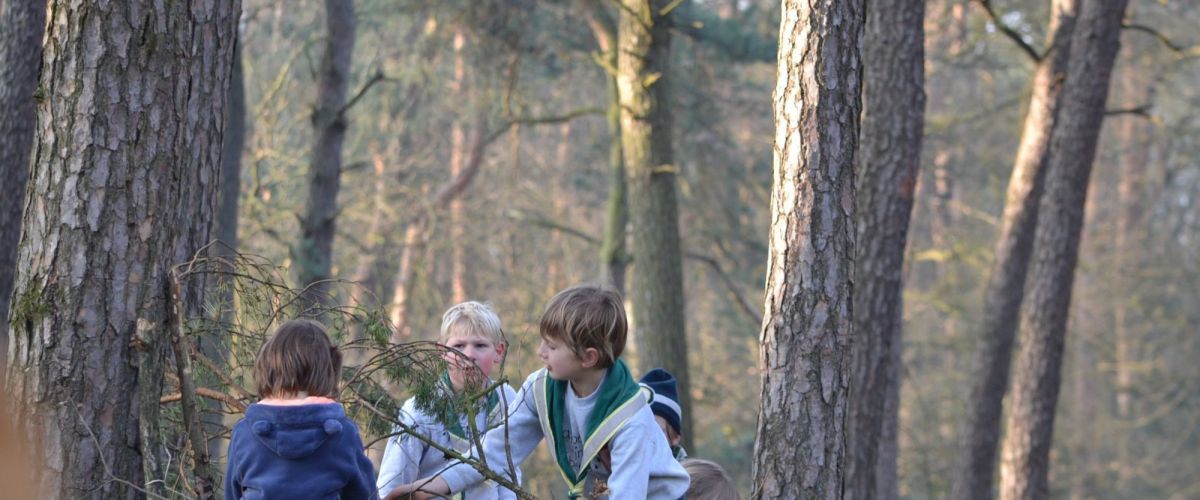 kinderen sprokkelen hout in het bos