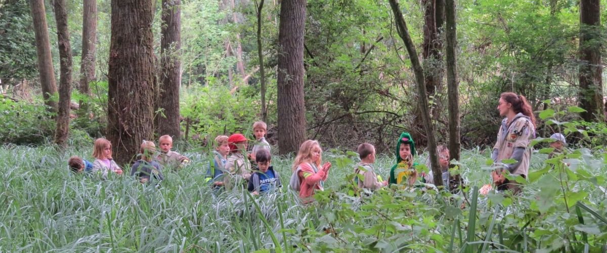 kinderen die in een bos staan met hoog gras