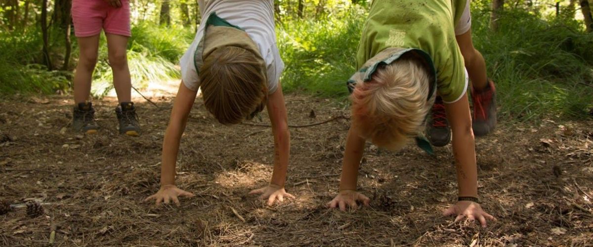 Kinderen doen handenstand in het bos