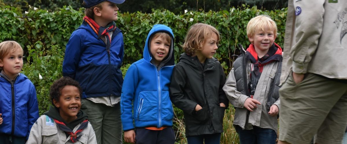 welpen staan in de rij en kijken naar hun leider