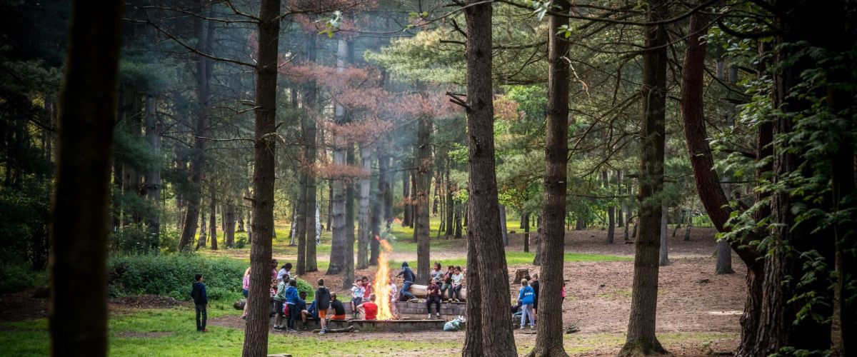 Scoutsgroep zitten aan het kampvuur in een bos