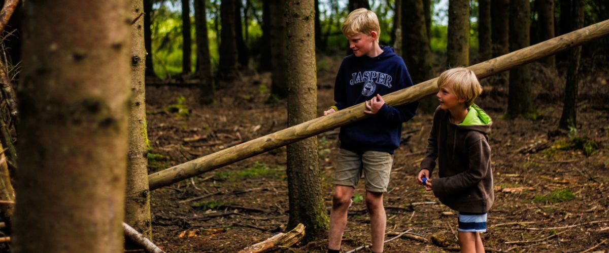 twee welpen spelen met een balk in het bos