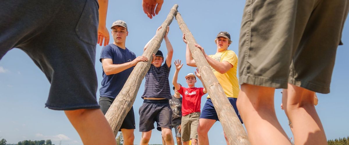 Jonggivers sjorren een driepikkel op kamp