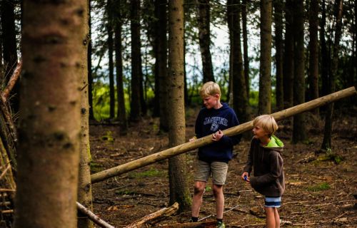 twee welpen spelen met een balk in het bos