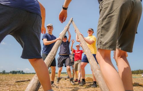 Jonggivers sjorren een driepikkel op kamp