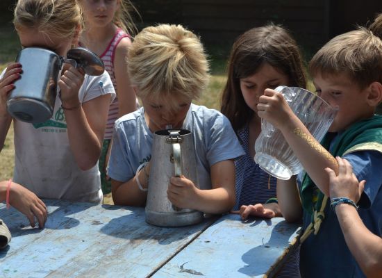 kapoenen drinken rechtsreeks uit waterkannen