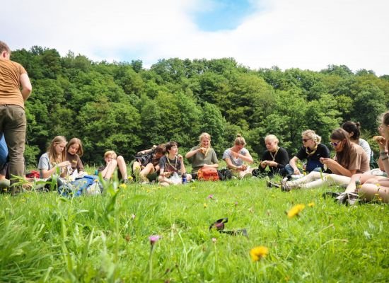 Scouts en gidsen op het gras