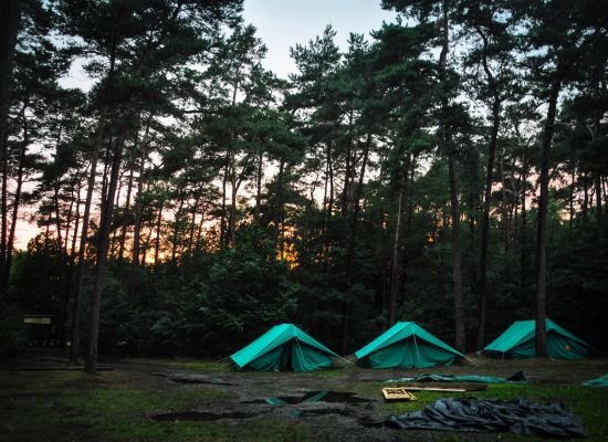 3 patrouilletenten onder de bomen bij zonsondergang