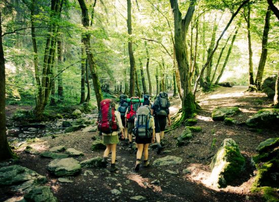 jongeren op trektocht door het bos