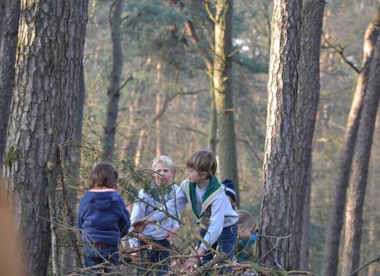 kinderen sprokkelen hout in het bos