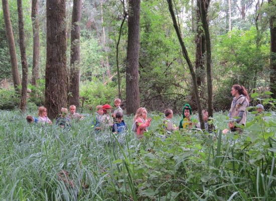 kinderen die in een bos staan met hoog gras