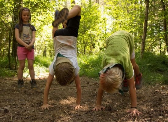 Kinderen doen handenstand in het bos