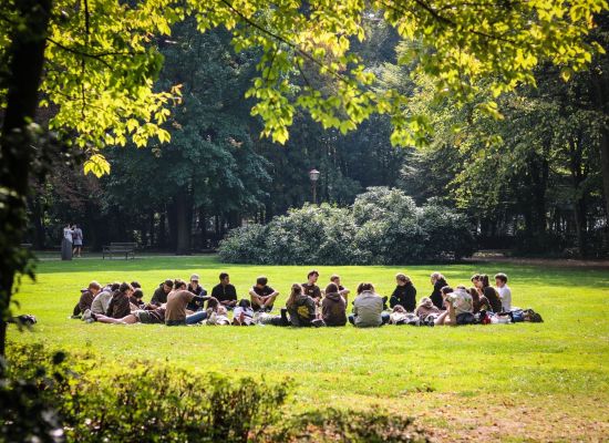 Een scoutsgroep in een cirkel zit op het gras onder de zon in het park