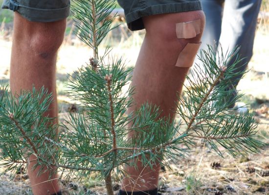 jong man in korte scoutsbroek, op zijn knie zitten plakkers.