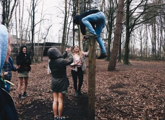 Jins in het bos