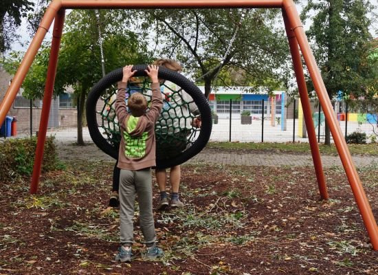 Akabeërs spelen met een grote schommel