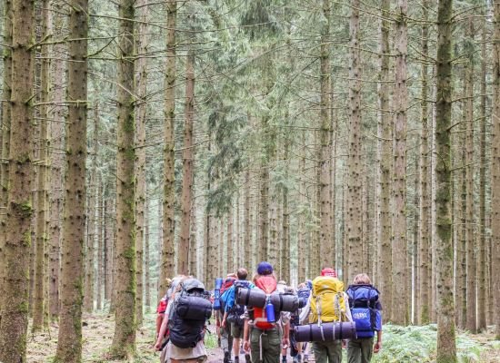 Groep givers op tocht in een dennenbos