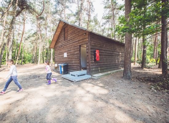 Twee kinderen die naar buiten zijn gekomen uit een blokhut in een bos.