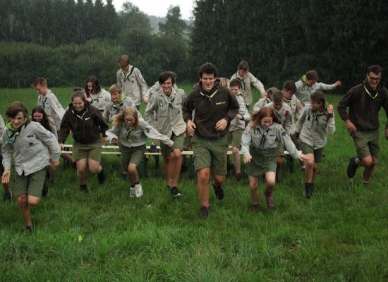 Jonggivers die over een grasveld lopen