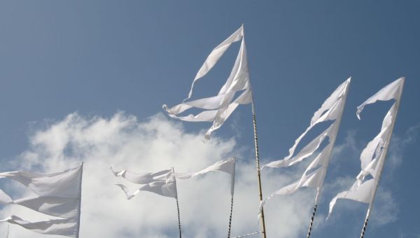 witte vlag